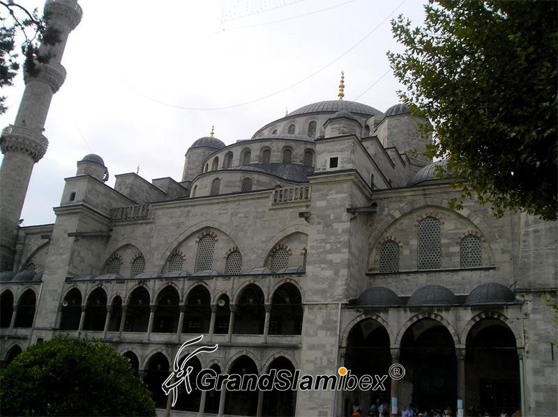 Turkey-Grandslamibex-3