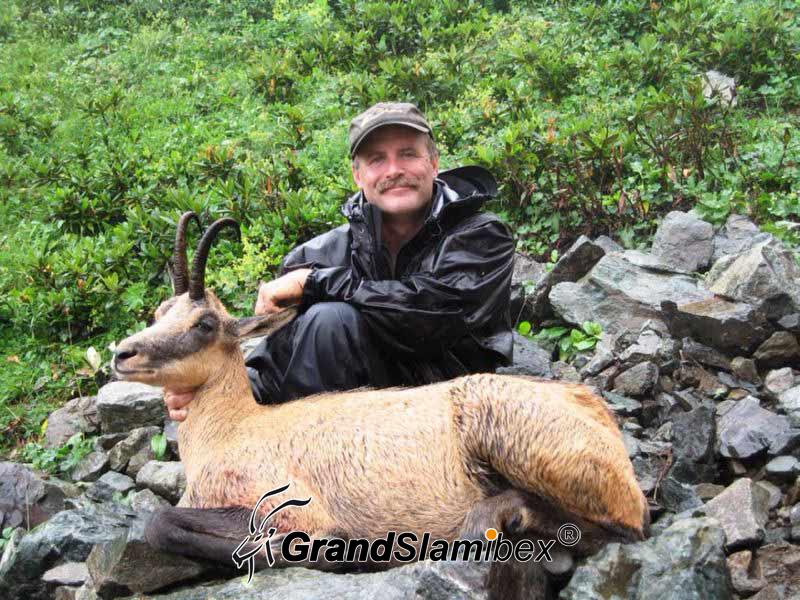 caucasian-chamois-grandslamibex-10