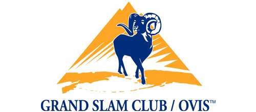 club-ovis-1