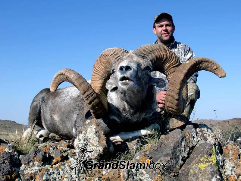 grand-slam-ibex-altai-argali-5