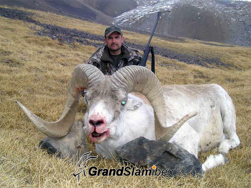 marco-polo-grand-slam-ibex