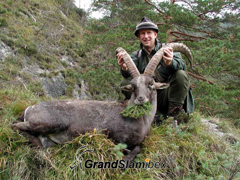 Alpine-Ibex-Hunting-in-Austria- S2 (1)