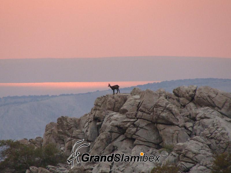 Balkan-Chamois-Hunting-in-Macedonia- S1 (5)