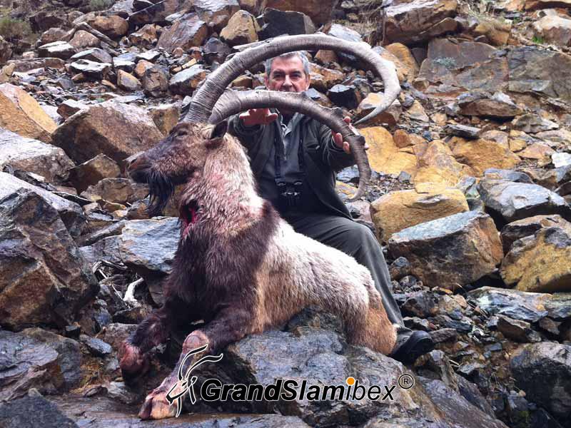 Bezoar-Ibex-Hunting-in-Turkey (5)
