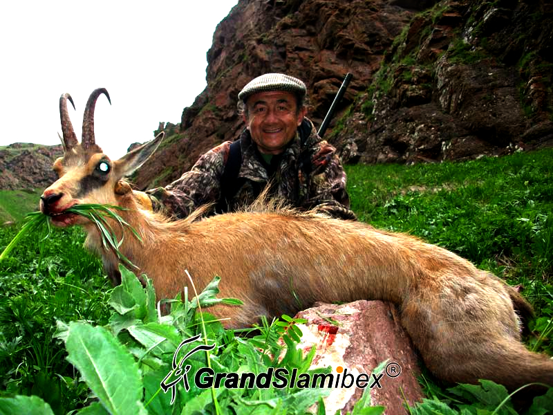Caucasian-Chamois-Hunting-in-Russia- S1 (1)