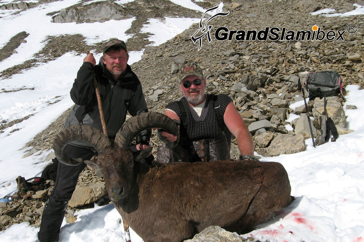 Dagestan-tur-hunting-in-Russia