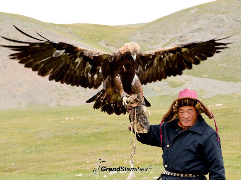 Hunting-in-Mongolia