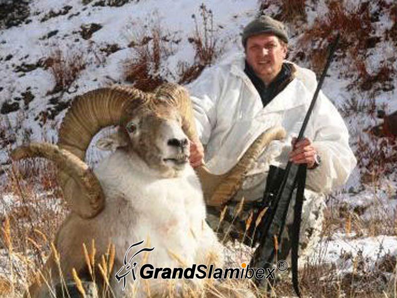 Marco-Polo-Sheep-Hunt-in-Kyrgyzstan-S2 (2)