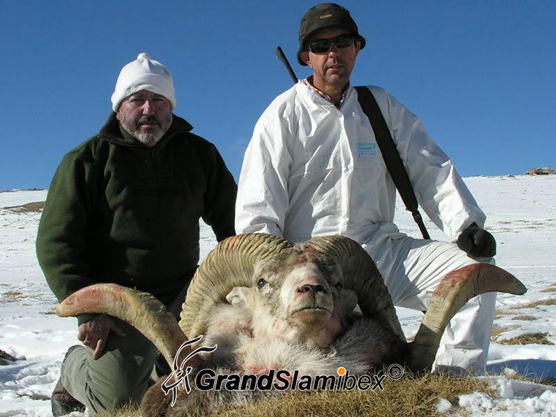 Marco-polo-sheep-hunting-in -Kyrgyzstan - S1 (2)