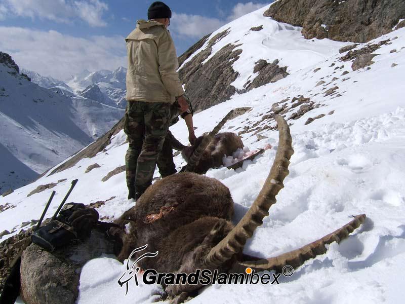 Mid-Asian-Ibex-Hunting-in-Kyrgyzstan-S2 (6)