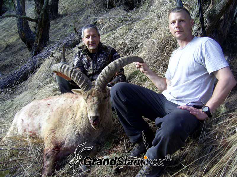 Mid-Caucasian-Tur-Hunting-in-Russia